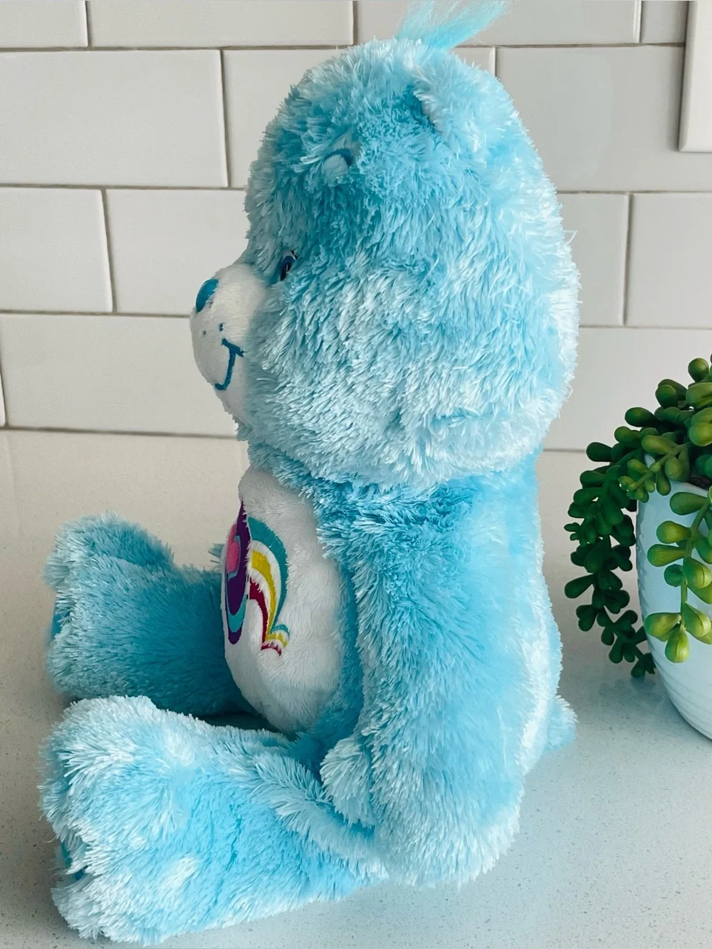 2005 Care Bears Fluffy & Floppy Play A Lot Bear